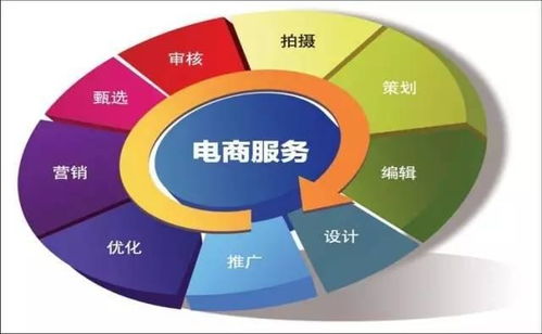 学电子商务专业容易吗