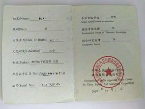 电子商务专业的培训证书