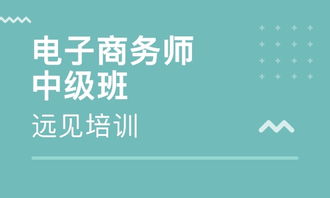 专业电子商务师培训平台