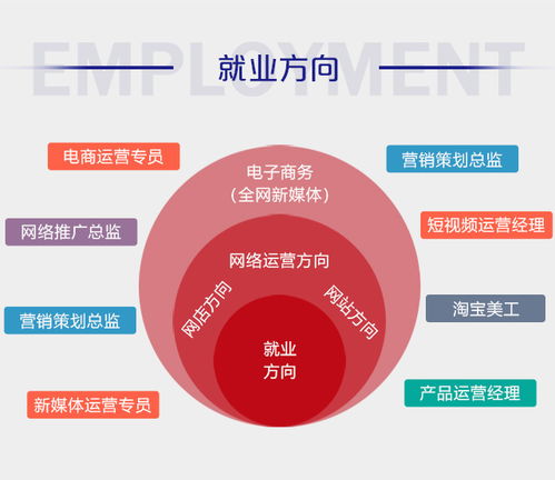 电子商务主要有什么专业