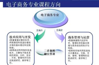春考电子商务专业考什么