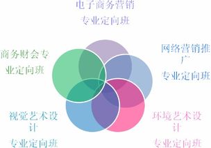 电子商务跨专业可报什么
