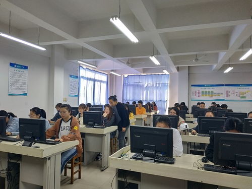 电子商务专业目前怎么样