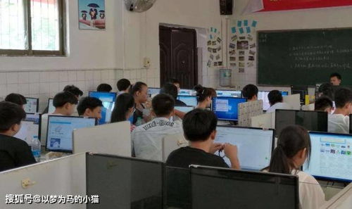 电子商务专业的女生多吗