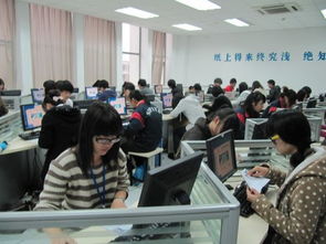 电子商务员考啥专业好