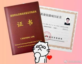 电子商务专业都考什么证