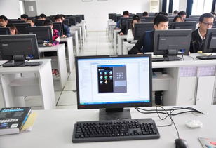 电子商务是什么系的专业
