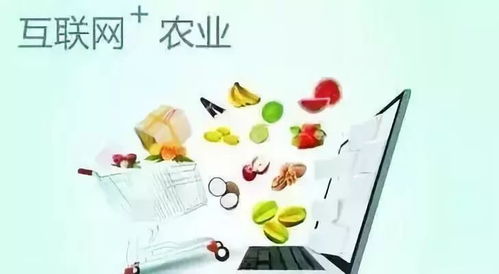 农村电子商务专业课笔记