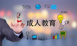成考电子商务专业大学