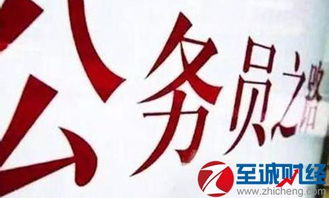 公务员限电子商务专业